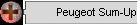 Peugeot Sum-Up