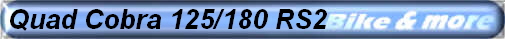 Quad Cobra 125/180 RS2