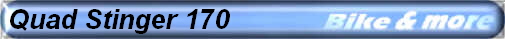 Quad Stinger 170